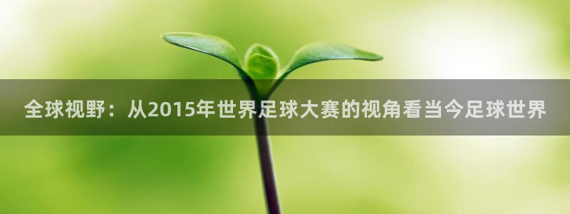 2026年世界杯直播平台:全球视野:从2015年世界足球大赛的视角看当今足球世界