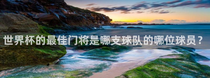 世界杯赛程表:世界杯的最佳门将是哪支球队的哪位球员?
