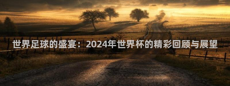 2026年世界杯:世界足球的盛宴:2024年世界杯的精彩回顾与展望