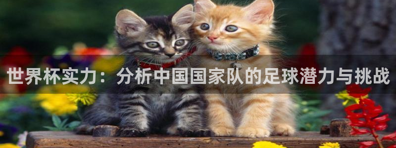 2026足球世界杯赛程时间表:世界杯实力:分析中国国家队的足球潜力与挑战